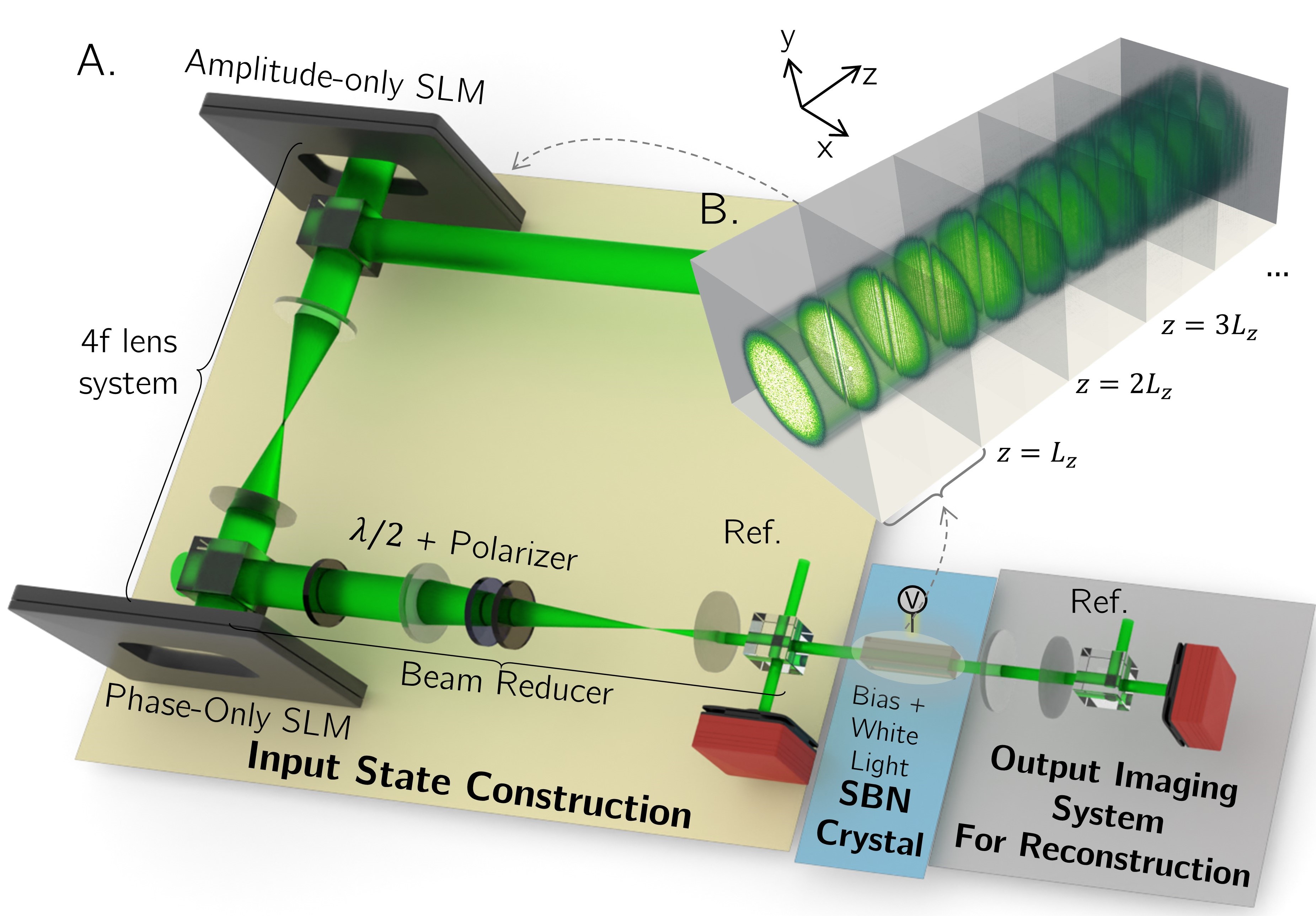 Digital feedback loop